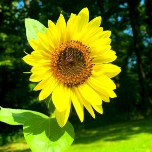 Meet your Posher, Kiersten